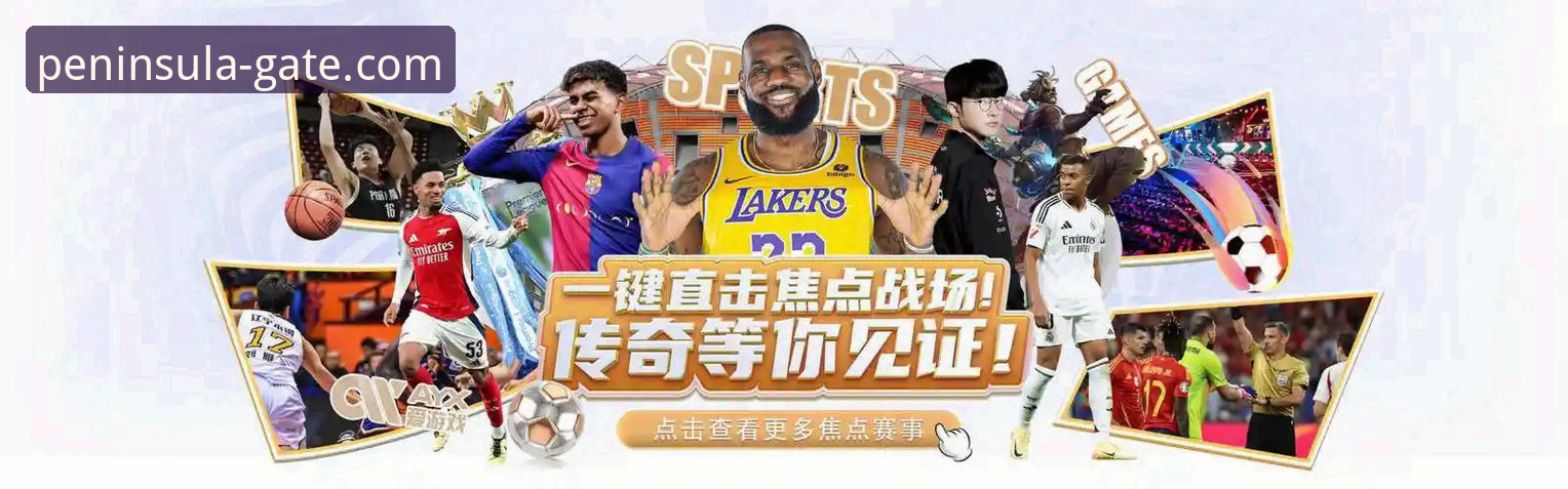 半岛体育平台全方位使用指南：从入口到精通