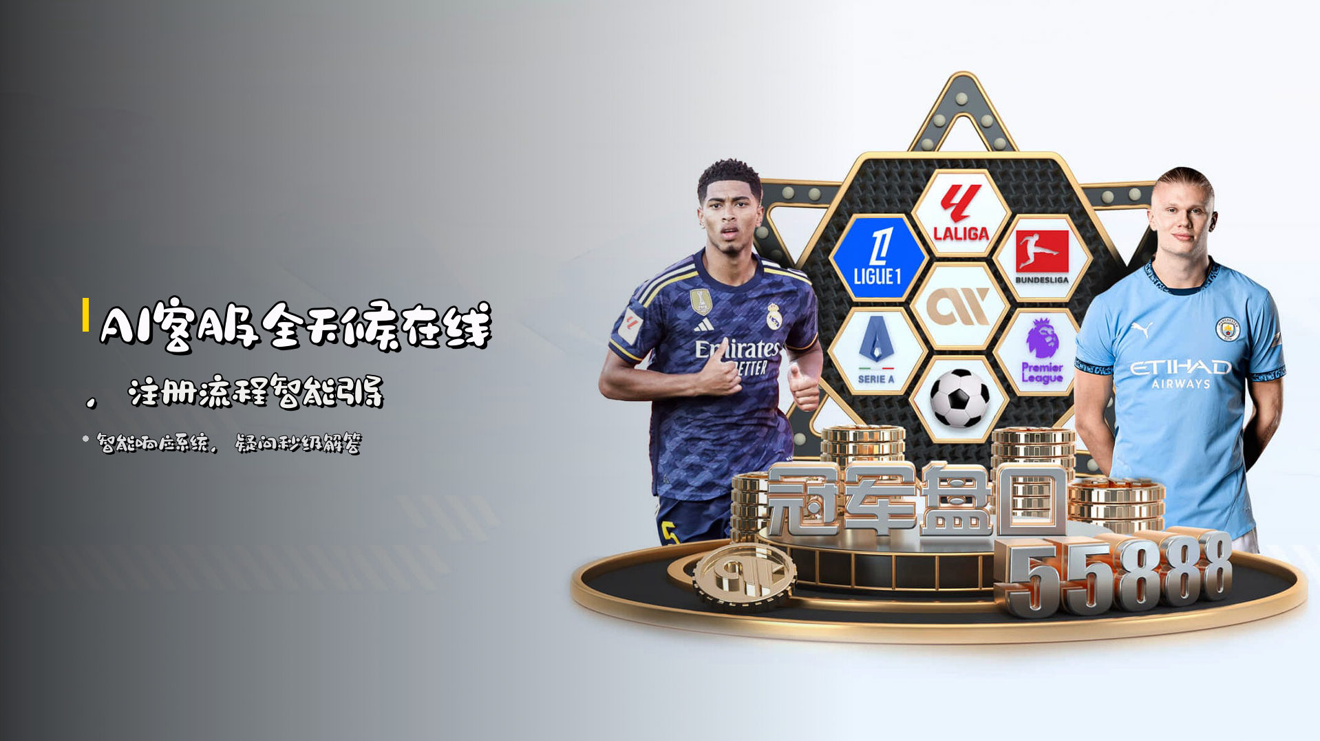 AI客服全天候在线，<strong>注册流程</strong>智能引导