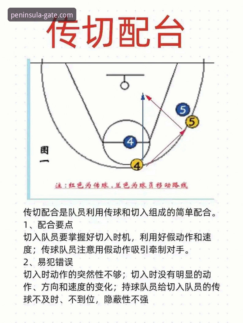 亚历山大47分加时制胜：半岛体育平台赛事深度解析与观看实战教程